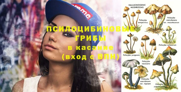 шишки Балахна