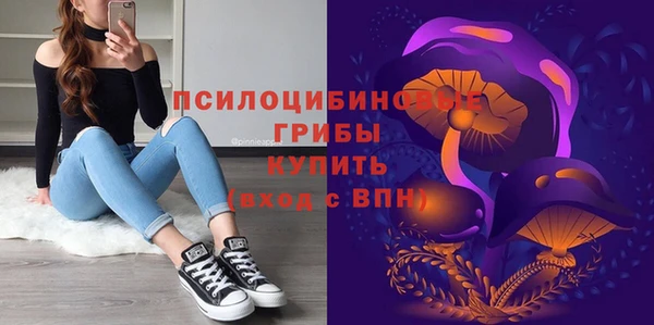 шишки Балахна